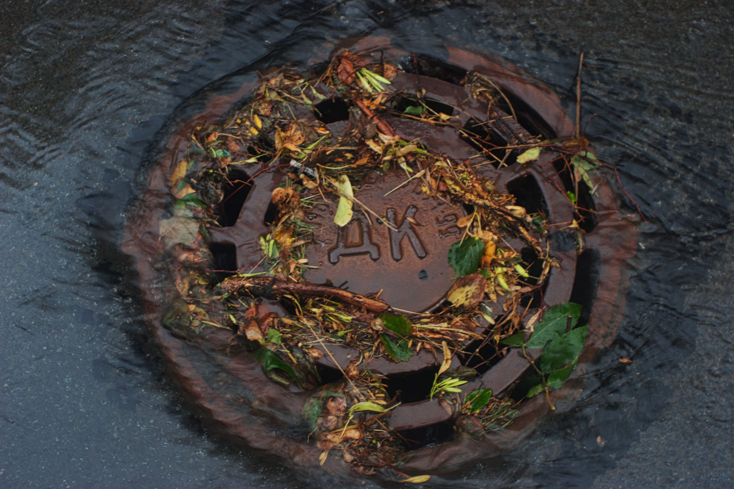 Grille d'égout encrassée de feuilles
