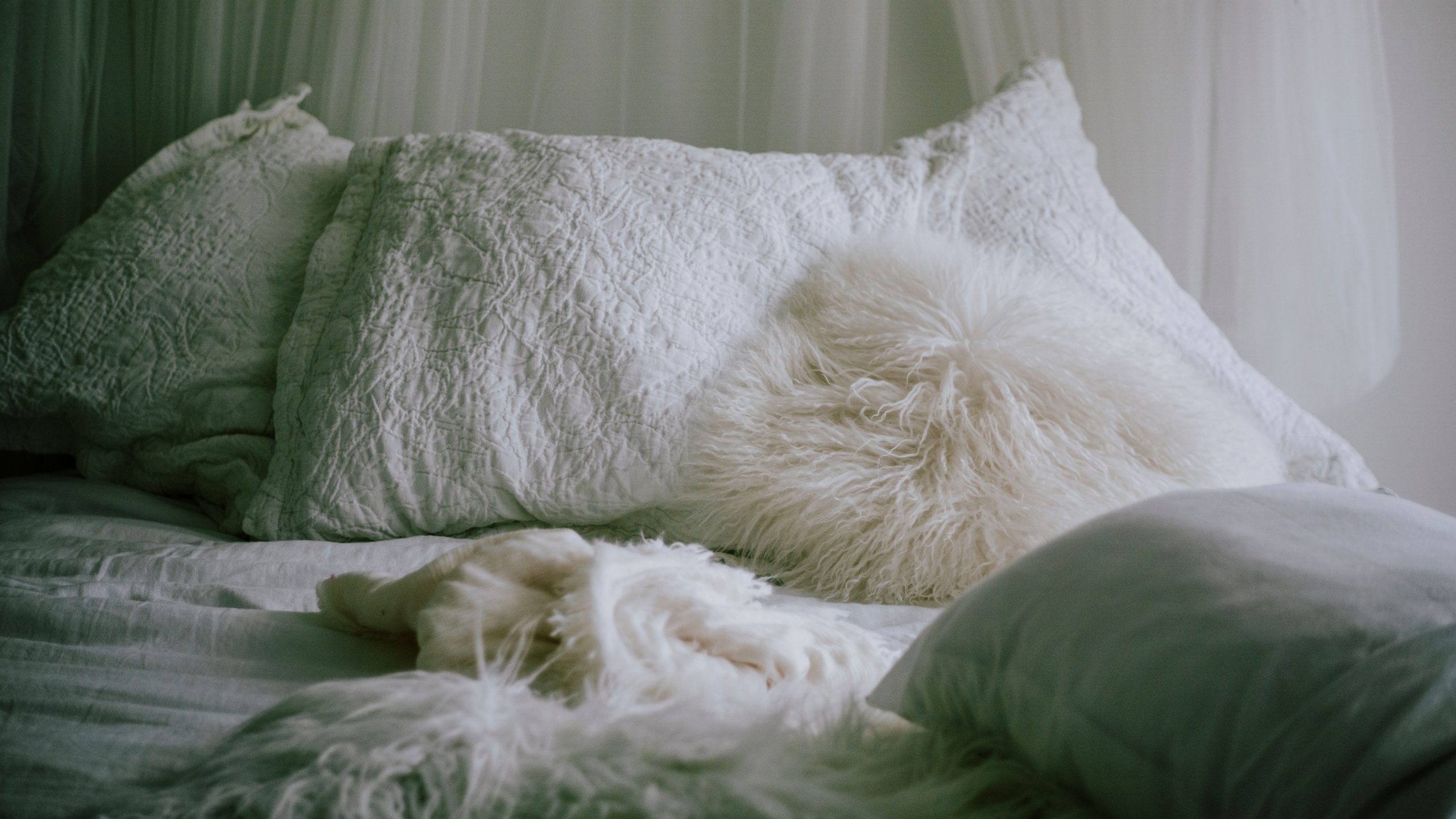Chambre sereine avec traversin fluffy blanc douillet